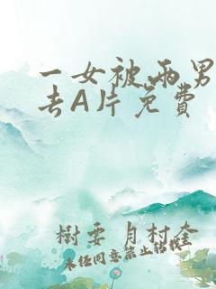 一女被两男桶进去A片免费