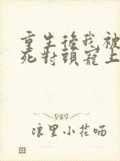 重生后我被渣男死对头宠上天