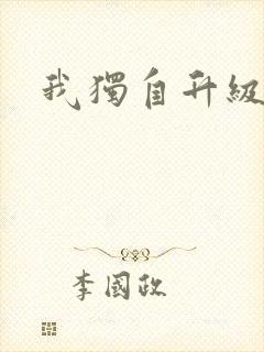 我独自升级小说