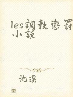 les调教惩罚小说