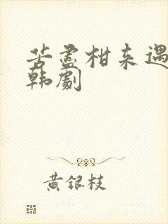 苦尽柑来遇见你韩剧