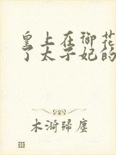 皇上在御花园c了太子妃的网剧