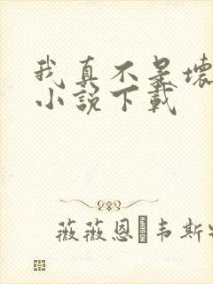 我真不是坏男人小说下载