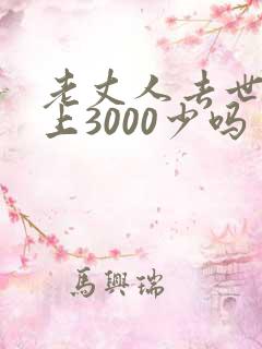 老丈人去世女婿上3000少吗