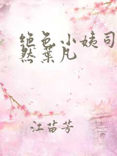 绝色小姨司空嫣然叶凡