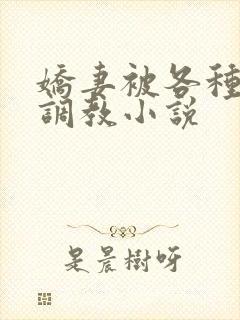 娇妻被各种刑具调教小说