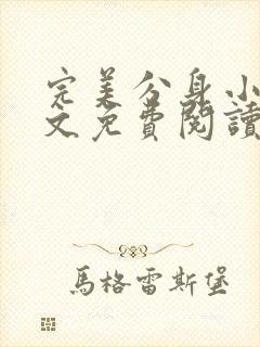 完美分身小说全文免费阅读无弹窗