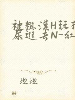 被粗汉H玩松了尿进去N-红-Q