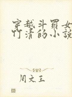 穿越斗罗女主朱竹清的小说