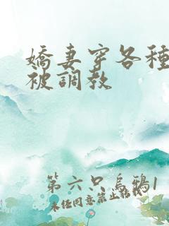 娇妻穿各种丝袜被调教