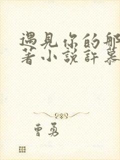 遇见你的那天原著小说许慕谢时