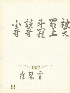 小说斗罗被唐三哥哥宠上天