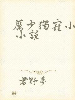 厉少独宠小娇妻 小说