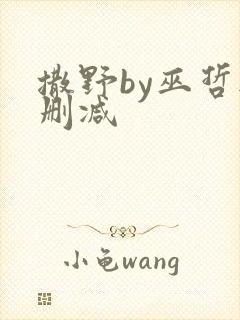 撒野by巫哲无删减
