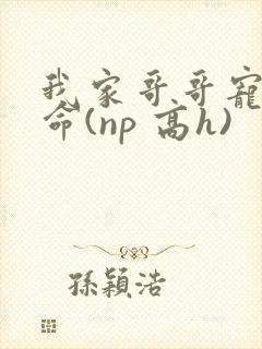 我家哥哥宠妹如命(np 高h)