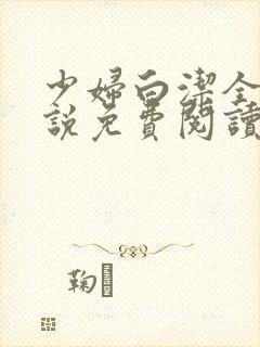 少妇白洁全文小说免费阅读