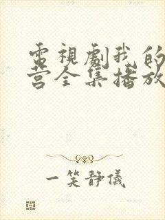 电视剧我的特一营全集播放