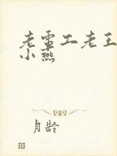 老电工老王和李小燕