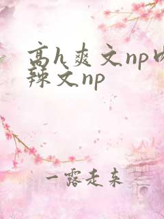 高h爽文np肉辣文np
