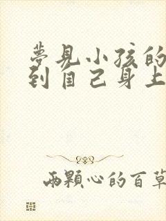 梦见小孩的尿弄到自己身上