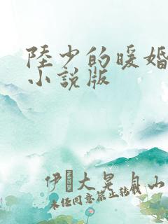 陆少的暖婚新妻小说版