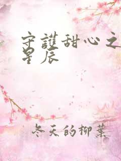 守护甜心之暗夜星辰