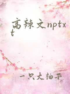 高辣文nptxt