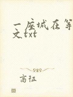 一座城在等你全文txt