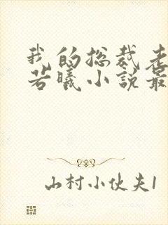 我的总裁老婆林若曦小说最新章节