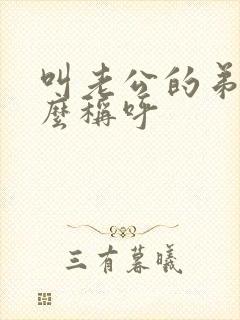 叫老公的弟弟怎么称呼