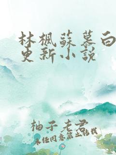 林枫苏慕白最新更新小说