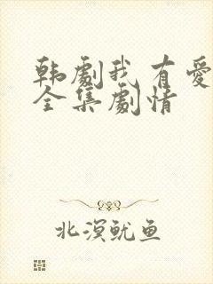 韩剧我有爱人了全集剧情