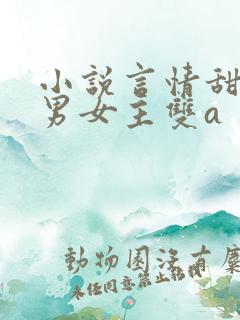 小说言情甜宠文男女主双a