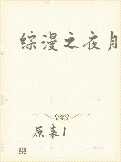 综漫之夜月