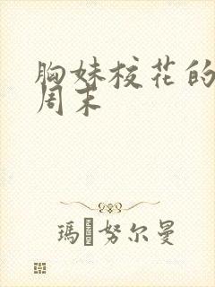 胸妹校花的销魂周末