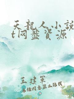 天龙人小说txt网盘资源