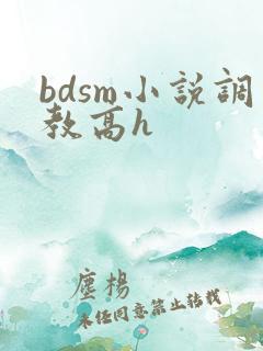 bdsm小说调教高h
