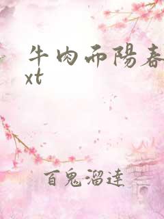 牛肉面阳春面txt