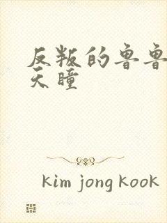 反叛的鲁鲁修之天瞳