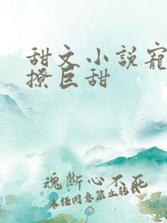 甜文小说宠文巨撩巨甜