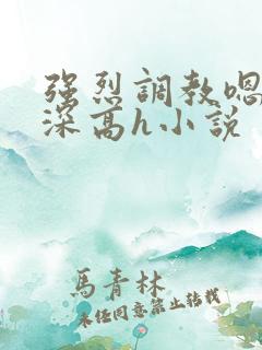 强烈调教嗯啊好深高h小说