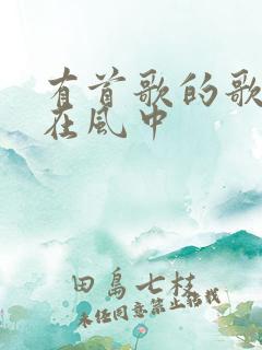 有首歌的歌词是在风中