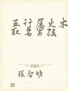 五行属火木的字取名男孩