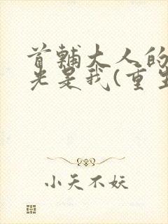 首辅大人的白月光是我(重生)