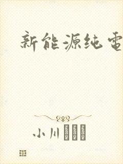 新能源纯电汽车