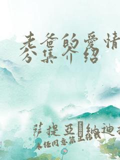 老爸的爱情剧情分集介绍