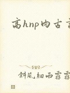 高hnp肉古言