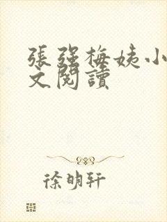 张强梅姨小说全文阅读