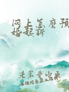 网上怎么预约离婚起诉