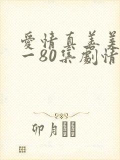 爱情真善美41一80集剧情